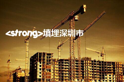 <strong>填埋深圳市危險(xiǎn)廢物處理站有限公司化工設(shè)施安全解體：如何高效處理復(fù)雜工業(yè)遺留問題？</strong>